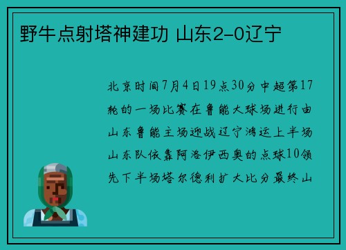 野牛点射塔神建功 山东2-0辽宁