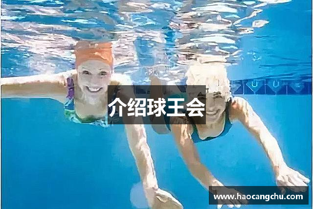 介绍球王会